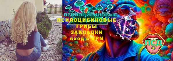 apvp Арсеньев