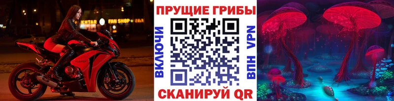 Псилоцибиновые грибы Cubensis  Уварово 